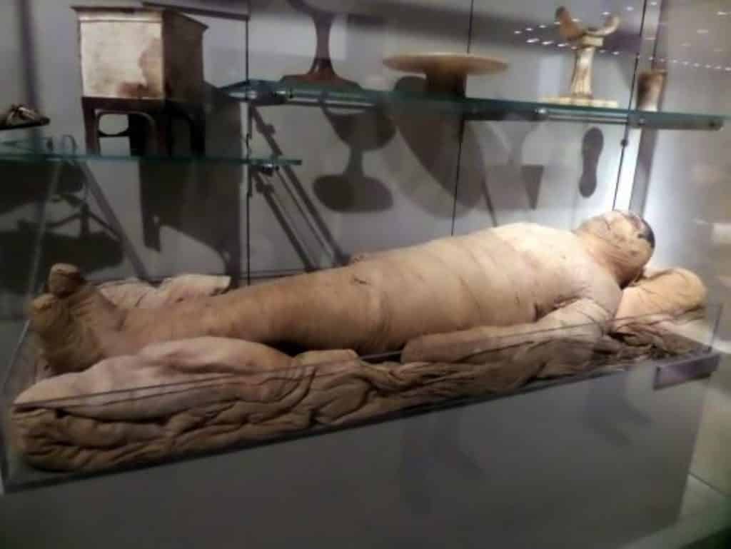Museum Firaun Mesir